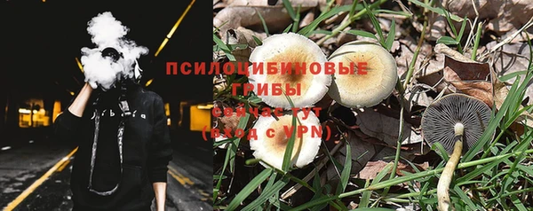 дживик Балахна